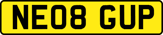NE08GUP