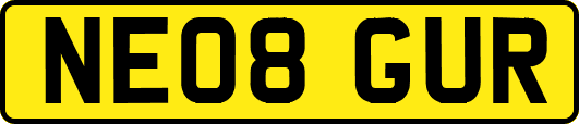 NE08GUR