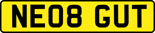 NE08GUT