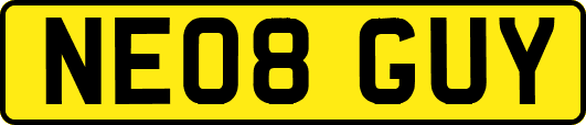 NE08GUY