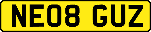 NE08GUZ