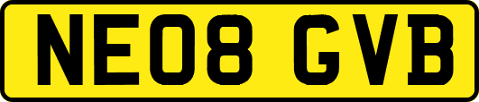 NE08GVB