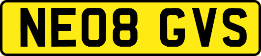 NE08GVS