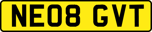 NE08GVT