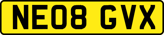 NE08GVX