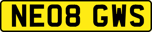 NE08GWS