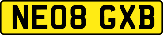 NE08GXB