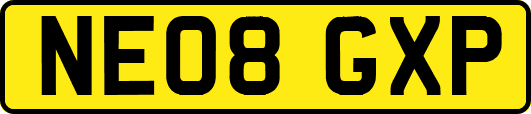 NE08GXP