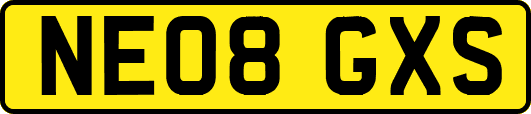 NE08GXS