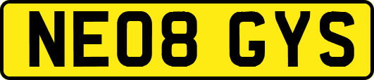 NE08GYS
