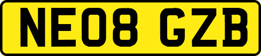 NE08GZB