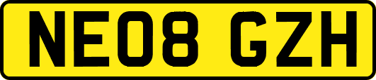 NE08GZH
