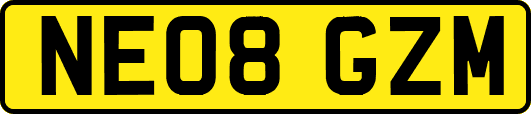 NE08GZM