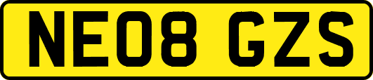 NE08GZS