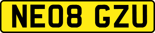 NE08GZU