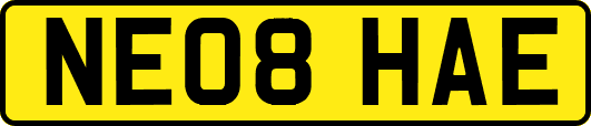 NE08HAE