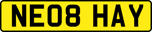 NE08HAY