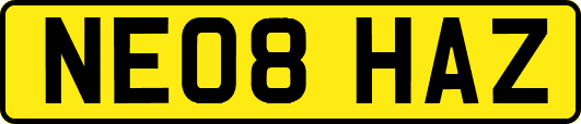 NE08HAZ