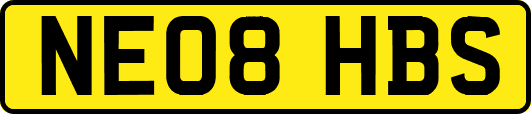 NE08HBS