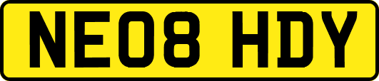 NE08HDY