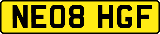 NE08HGF