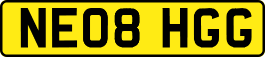 NE08HGG