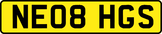 NE08HGS