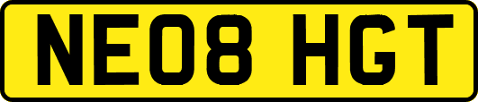 NE08HGT