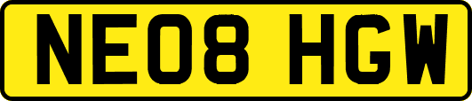 NE08HGW