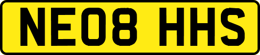 NE08HHS