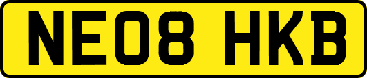 NE08HKB