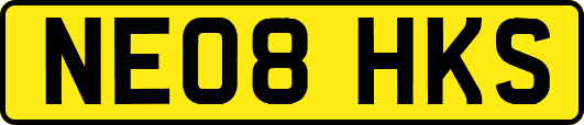 NE08HKS