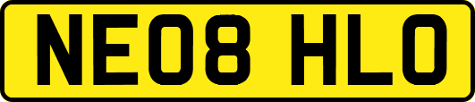 NE08HLO