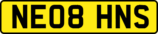 NE08HNS