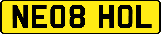 NE08HOL