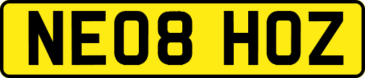 NE08HOZ