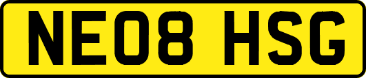 NE08HSG