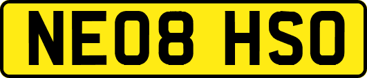 NE08HSO