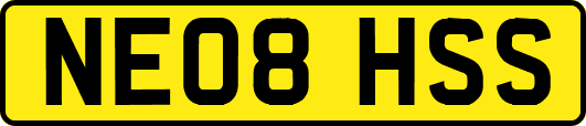 NE08HSS
