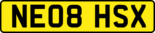 NE08HSX