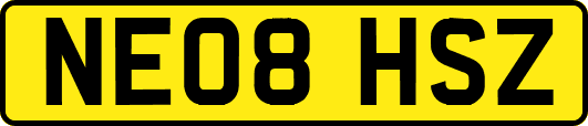 NE08HSZ