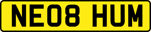 NE08HUM
