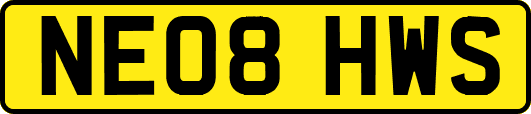 NE08HWS