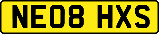 NE08HXS