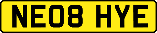 NE08HYE