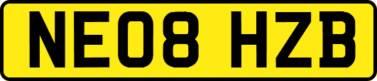 NE08HZB