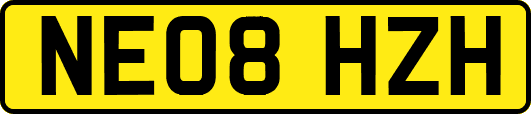 NE08HZH