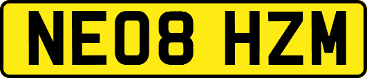 NE08HZM