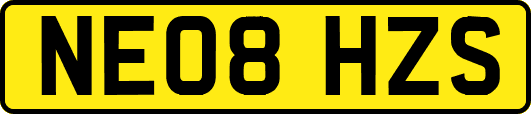 NE08HZS