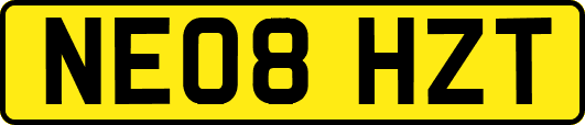 NE08HZT